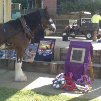 First War Animal Memorial for a school in Australia